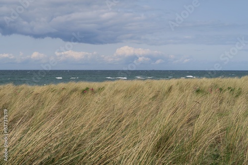 Wallpaper Mural Wellen der Ostsee sind hinter Strandhafer in Dierhagen auf der Halbinsel Fischland in Mecklenburg-Vorpommern zu sehen.  Es ist ein teils bewölkter Sommertag und stürmische See.  Torontodigital.ca
