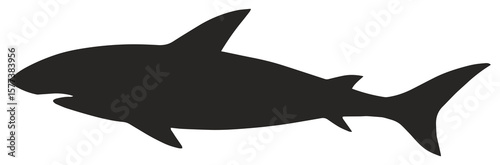 Shark silhouette swimming in the ocean at dusk