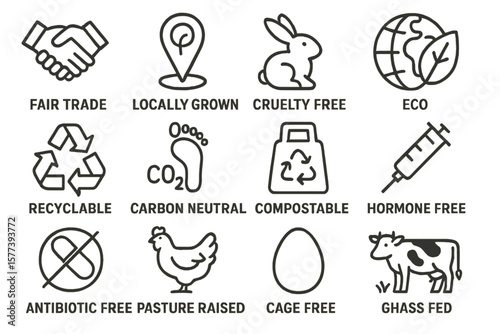 Eco-friendly icons: sustainable practices and certifications for ethical products