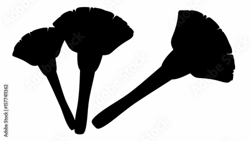 Silhouette representation of three ginkgo biloba leaves with stems on a white background view from above