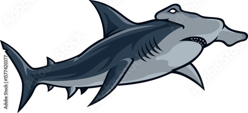Illustration of Big Hammerhead Shark