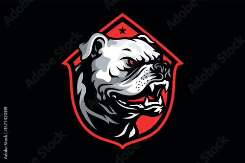 Aggressive Bull Dog Baring Its Fangs