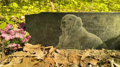 Ukraine, Ivano-Frankivsk, 20.04.2025: near the city in the forest there is a small cemetery of pets cats and dogs, graves with portraits and memories