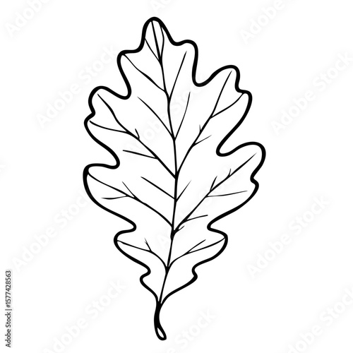Blatt einer Birke