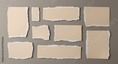 Torn paper scraps beige neutral image