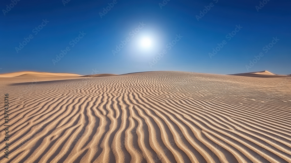 Naklejka premium Vast desert landscape with rippled sand dunes under bright sun, creating serene atmosphere