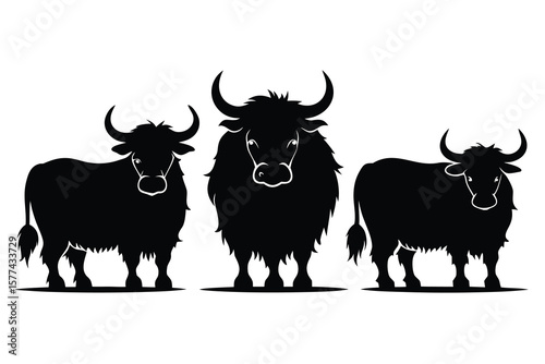 Black and white cattle illustrations depicting cows and bulls are isolated farm animal vectors
