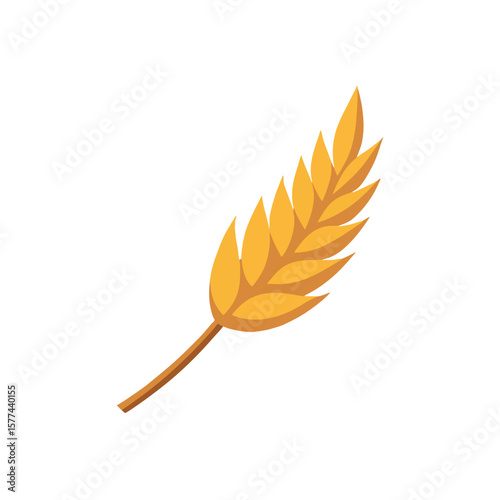 feather isolated on white background