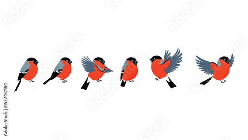 Six Red Bullfinch Birds in Various Poses Illustration Red Gray Black Wings Flight Perch Cartoon