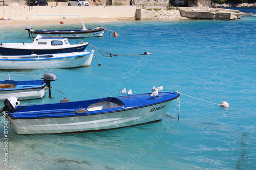 boats in the harbor