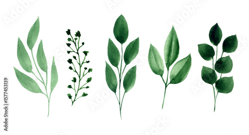 Watercolor Green Leaves Isolated Elements Set. Botanical Leaf Collection, Greenery Print Design for Wedding Invitation, Save the Date, Thank You, or Spring Greeting Card