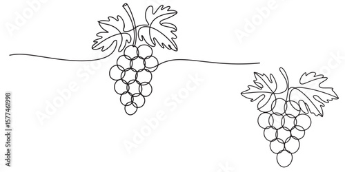 black Line Art Grape Bunches with Leaves, Grapes in continuous ONE line art drawing style silhouettes vector