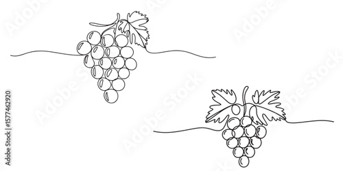 black Line Art Grape Bunches with Leaves, Grapes in continuous ONE line art drawing style silhouettes vector