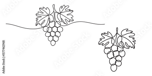 black Line Art Grape Bunches with Leaves, Grapes in continuous ONE line art drawing style silhouettes vector