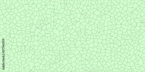 Geometry of Rupture Expressed in Organic Flow

