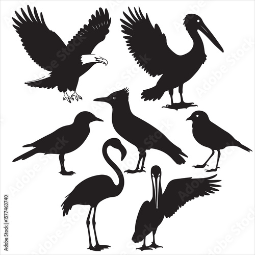 set of black various bird silhouette for graphic resources
