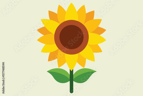 Bright yellow sunflower blossom with green leaves isolated on a clean white background