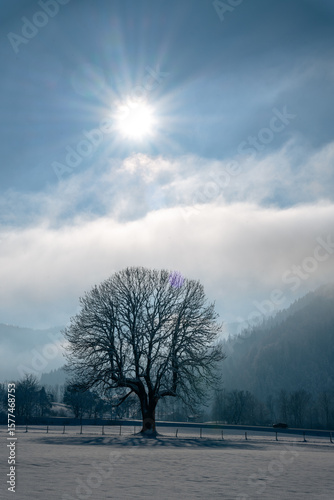 Winterzauber