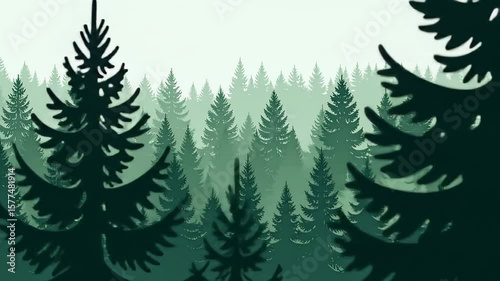 Serene Evergreen Forest: Misty Pines and Shadows