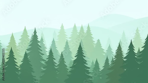 Serene Misty Evergreen Forest Landscape Animation