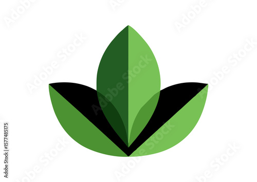 Stylized green leaf illustration 