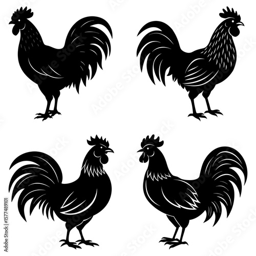 Four black rooster silhouettes standing in various poses on a white background design vector art