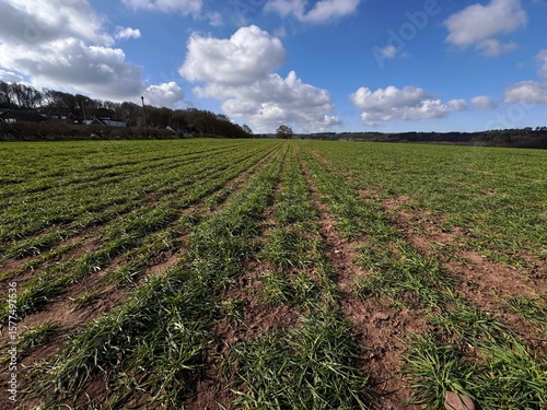 view of a field and sky