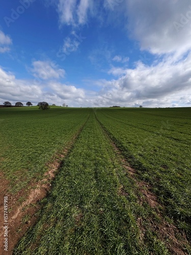 view of a field and sky