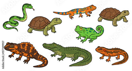 Colorful cartoon reptiles and amphibians collection