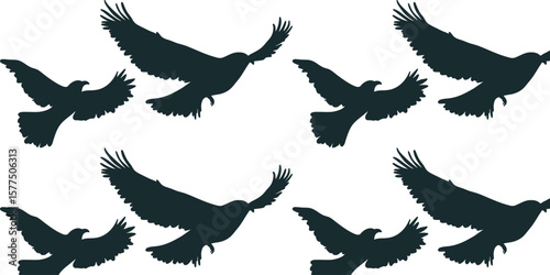 vector illustration seamless pattern with bird silhouette with outstretched wings