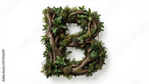 christmas wreath on white background