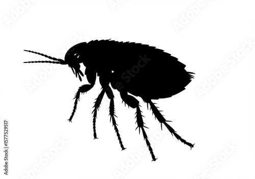 Black silhouette of a flea with detailed legs and antennae on a white background