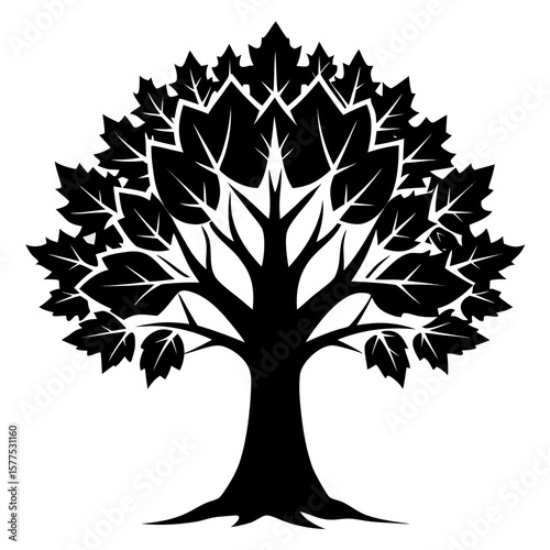 A sycamore tree silhouette is showcased against a dark background in nature.