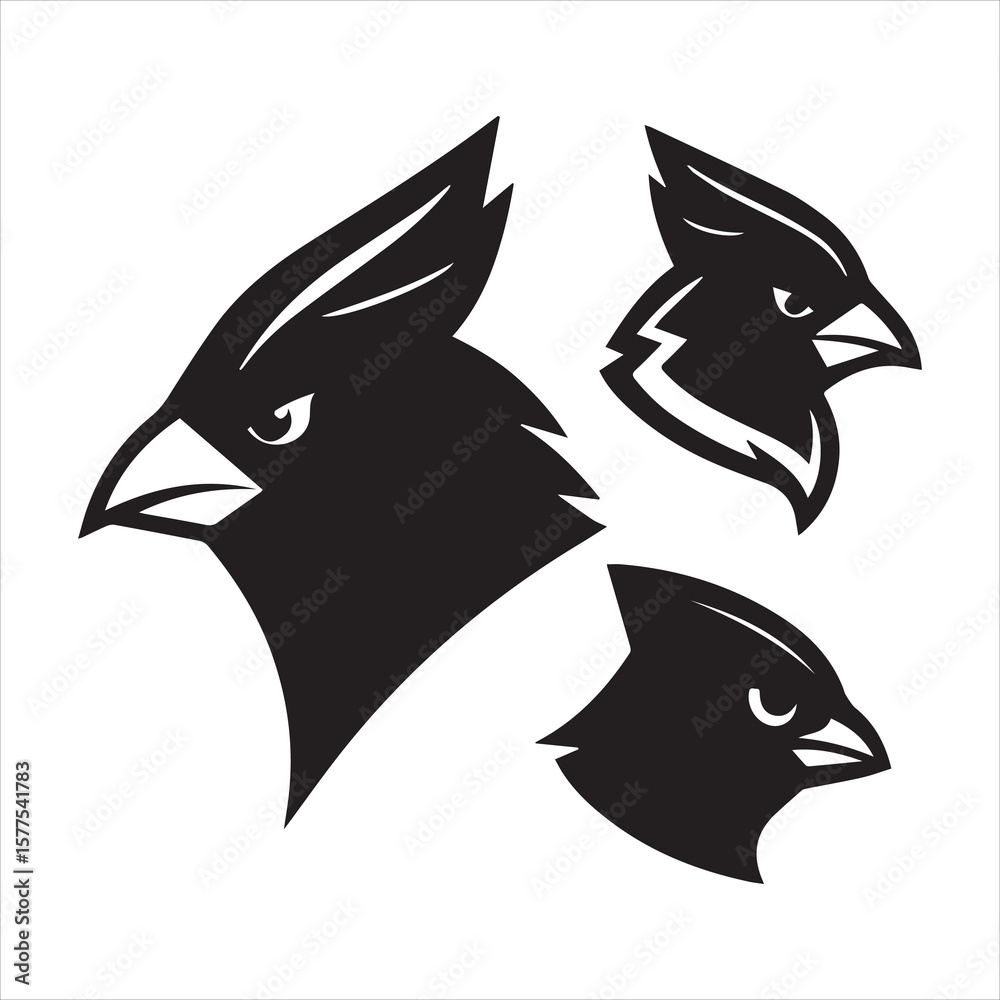 Obraz premium northern cardinal vector art