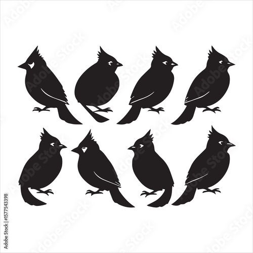 northern cardinal vector art