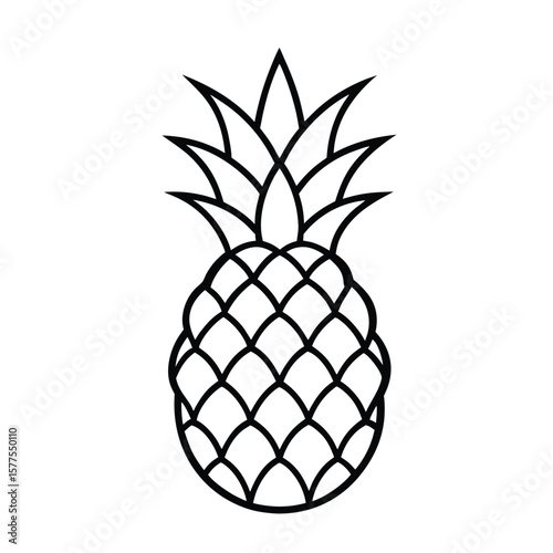 Fancy stylized thai pineapple silhouette vector on white background