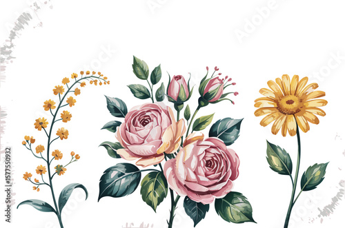 Watercolor Floral Arrangement Pink Roses, Yellow Daisy, and Golden Wattle on White Background