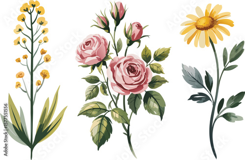 Watercolor Illustration of Pink Roses, Yellow Flowers, and Green Leaves on White Background