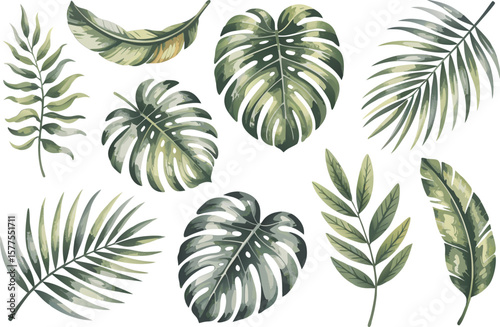 Watercolor Illustration of Various Tropical Green Leaves, Including Monstera and Palm, on White Background