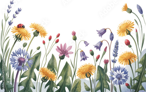Watercolor Meadow Flowers Dandelions, Cornflowers, Lavender, Bluebells, Red Berries, and a Ladybug Illustration