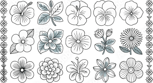 Assorted Flower Outlines Hibiscus, Daisy, Pansy, and Foliage Line Art for Coloring and Crafts