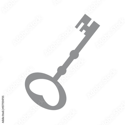 Beautiful gray key, flat style, minimalism, isolated on white