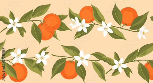 Elegant Orange Blossom Border Design Nature's Delicate Citrus Floral Pattern for Creative Projects