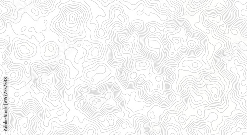 Subtle Topographic Map Texture for Backgrounds and Overlays, creating depth and dimension in minimalist designs, maps and abstract art