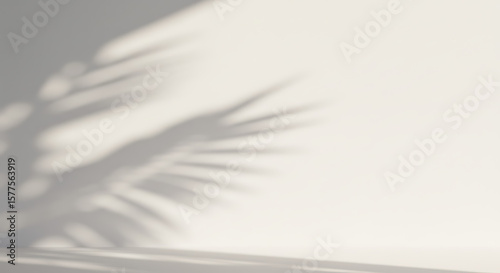 Delicate shadow play of a palm leaf on a light background.