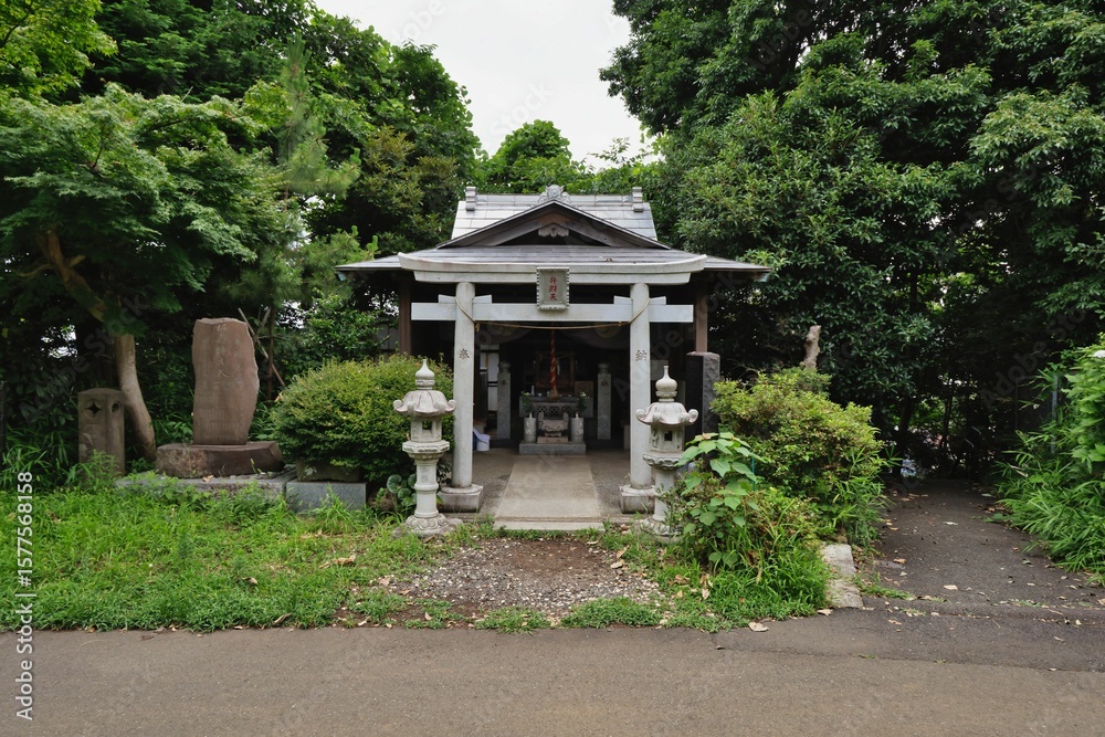 Obraz premium 墓地の弁財天