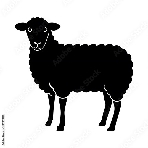 vector illustration of sheep