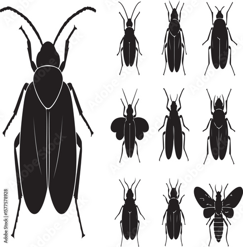 Rustic Aesthetic Insect Silhouette Icons