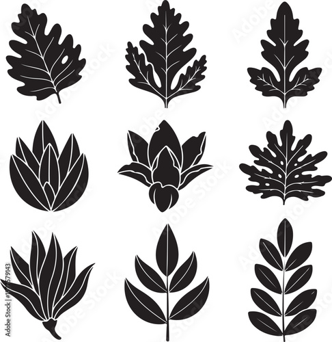 Natural Aesthetic Leaf Icon Ensemble
