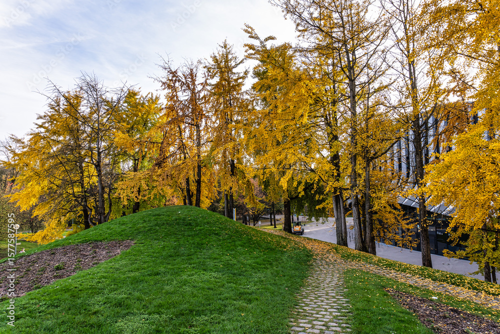 Naklejka premium Golden autumn view in the Olympiapark in Munich, Germany, an Olympic Park for the 1972 Summer Olympics
